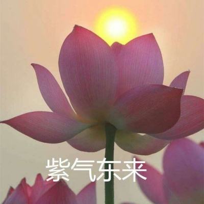 魔道诛仙录变态版下载